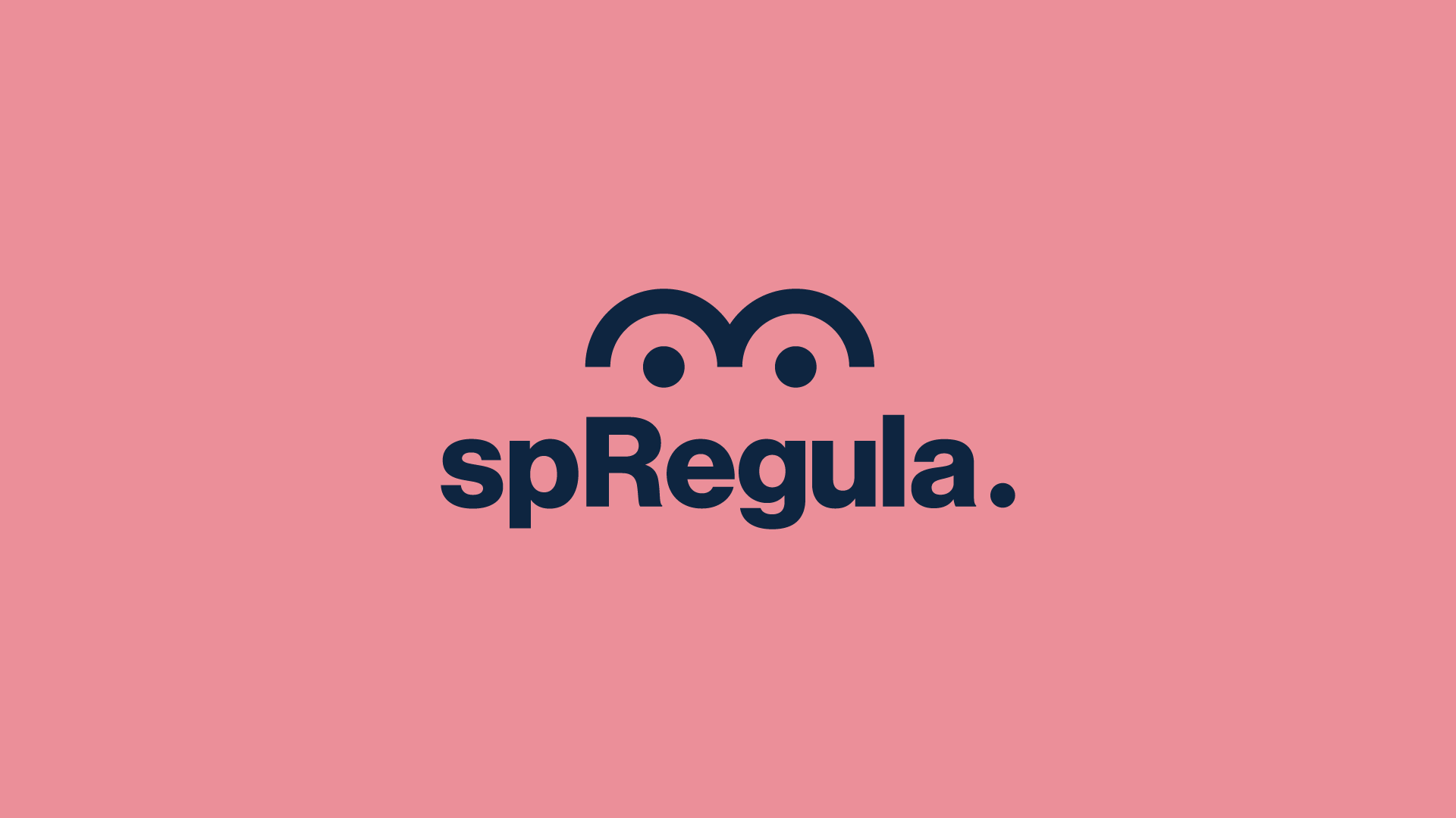 SP Regula: Um elo entre São Paulo e seus habitantes